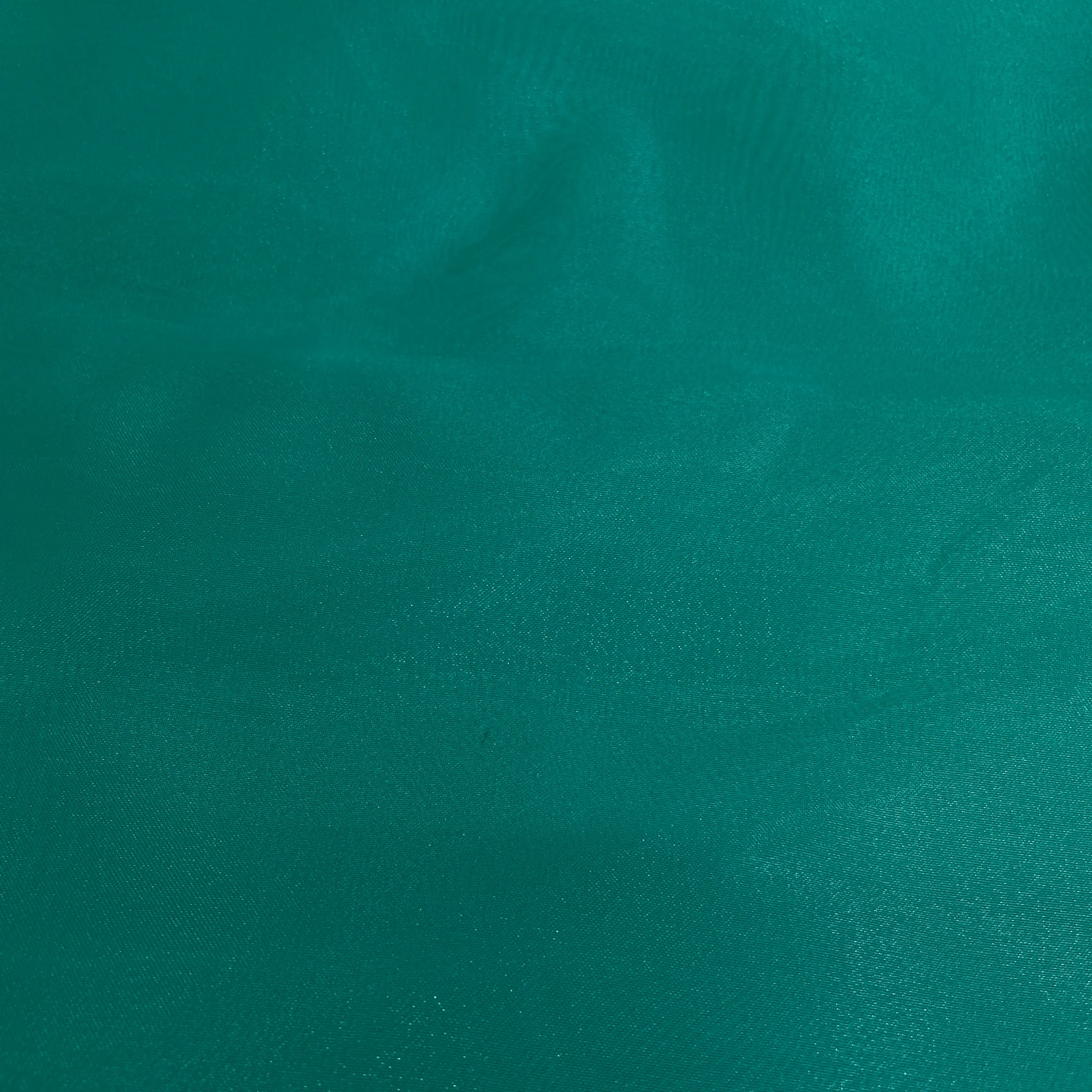 Sea Green Solid Organza Tissue Fabric