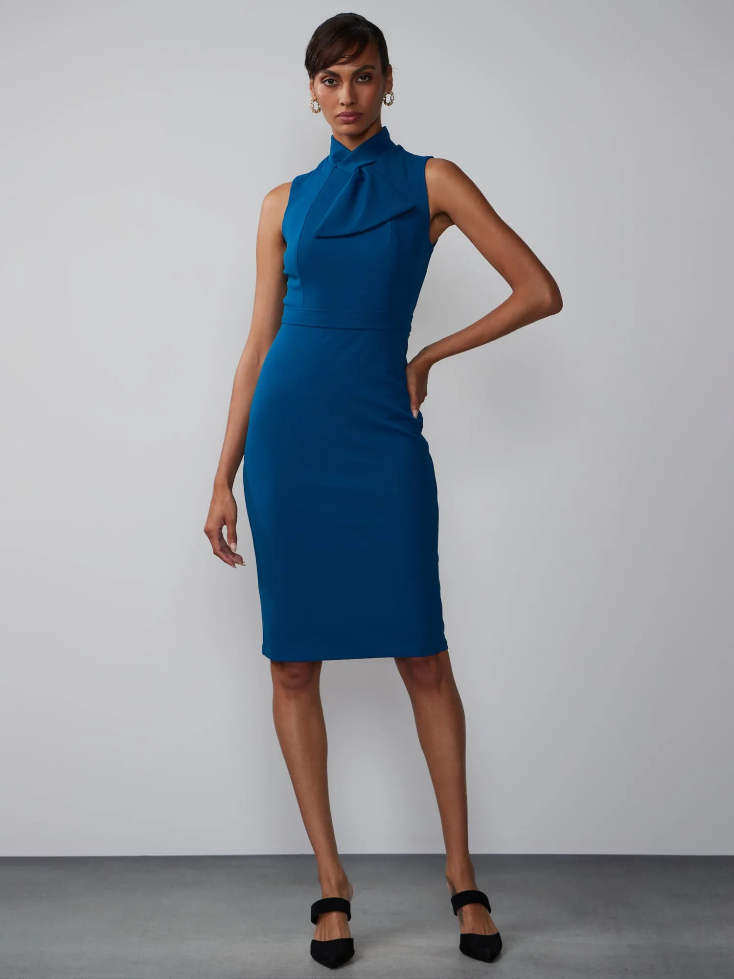 Sleeveless Bow Detail Fitted Sheath Dress